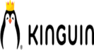 Kinguin USA