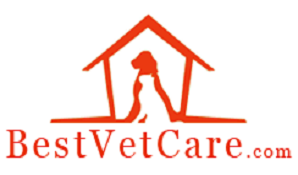 Best Vet Care