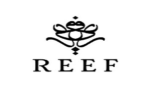Reef Perfumes KSA